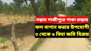 সস্তায় ৩ থেকে ৬ বিঘা ফল বাগানের জমি বিক্রয় গাজীপুর কাপাসিয়া | Land sale Gazipur kapasia