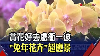 賞花也要很應景!士林官邸500多株\