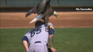 Bald eagle lands on Mariners' Paxton at Twins game