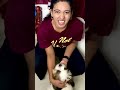 Our Puppy’s Reaction ♥️ | sheethal elzha official | sheethal elzha | sheethal vinu | sheethal |