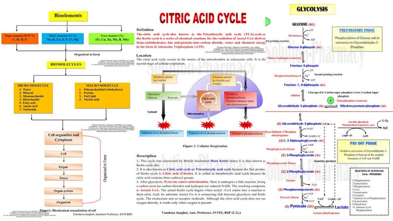 Biochemistry Notes = B.Pharmacy 2nd Semester (FREE PDF Available) GPAT ...