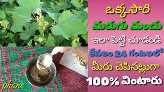 marugu mandu lo మరల మాతంగి చెట్టు యొక్క ఉపయోగాలు 9390155119💃🕺👫 💐🍁🌿