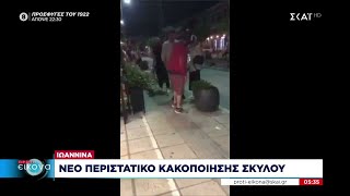 Ιωάννινα: Νέο περιστατικό κακοποίησης σκύλου | Πρώτη Εικόνα | 14/09/2022