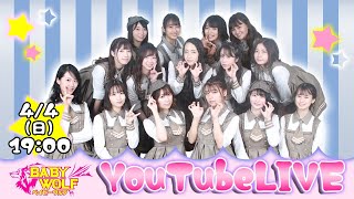 ベイビーウルフYouTubeLive！　＃6