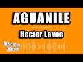 Hector Lavoe - Aguanile (Versión Karaoke)