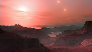 Exploring the Gliese 667 System