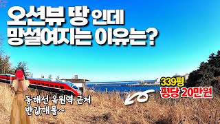 오션뷰 땅인데 망설여지는 이유는? 동해선 옥원역 근처 반값 매물~339평, 평당 20만원!!