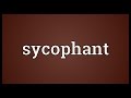 Sycophant Meaning