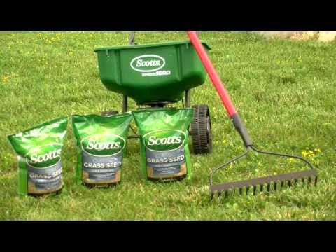 Do-it-Yourself: Lawn Overseeding Do-it-Yourself: Lawn Overseeding