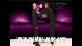 Tai Chi self-defence video preview