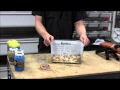 How to Set Up Feeder Crickets How to Set Up Feeder Crickets
