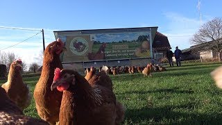 Een kippenmobiel voor 200 biokippen.