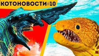 МУРЕНА – ЭТО КСЕНОМОРФ! | КАЙДЗЮ! УЗНАЙ ПОКА НЕ НАЧАЛОСЬ! | КОТОНОВОСТИ [10]