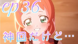 【本編感想】わんぷり第36話について語る三十代独身プリヲタ