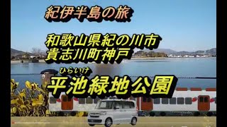 平池（ひらいけ）緑地公園（和歌山県紀の川市貴志川町神戸）に行ってみました。平池にはカモが非常にたくさんいました。和歌山電鉄貴志川線が最寄りの駅です。歩いて二分ほどで平池緑地公園に到着します。