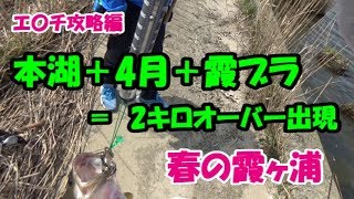 2018年4月初旬 霞ヶ浦本湖でエ〇チ攻略？