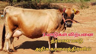 அதிக கரவைத்திரனில் மாடுகள் விற்பனை @Lakshmi-dairy-Farms #cow #dairy #sales #good #farming #farm