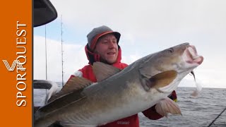 How To Fish For Halibut & Cod at Vesteralen in Northern Norway