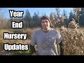 4 Years Running a Native Plant Nursery
