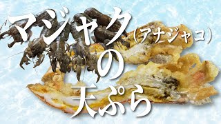 【激ウマ】知る人ぞ知る希少食材・マジャク(アナジャコ)の天ぷらの作り方！