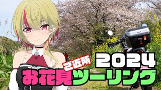 2024ご近所お花見ツーリング【CeVIOユニちゃん】