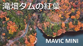 MAVIC MINIでみる滝畑ダムの紅葉【ドローン撮影】