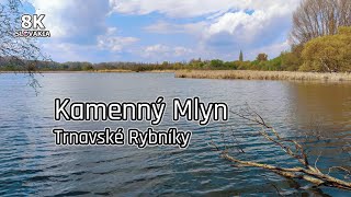 Kamenný Mlyn - Trnavské Rybníky - Trnava 🇸🇰 8K Slovakia | Tip na výlet | Kamenáč Požiar 2022