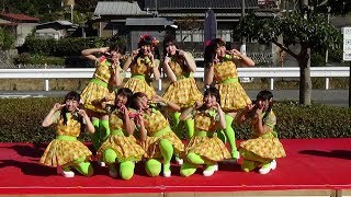 茶果菜　川根温泉　茶ービスエリア　LIVE　その1　12月3日