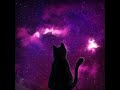 cat galaxy 2001