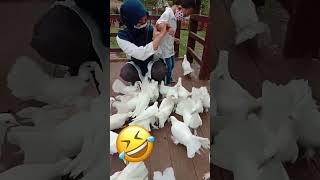 Lucunya aku diserang burung 😂😂😂