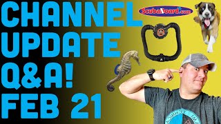 Channel Update \u0026 Dive Instructor Q\u0026A Feb 2021