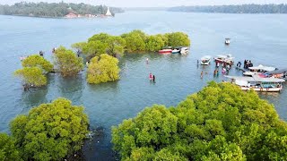 🌊 **Discover Sambranikodi: A Hidden Gem in Kerala's Backwaters** 🌊