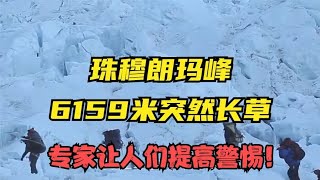 珠穆朗玛峰6159米突然长草，对人类的预示？专家让人们警惕！