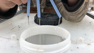 Making Maple Syrup - Sap Collection