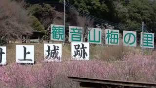 村上城址　２０１８年４月１日　栃木県芳賀郡市貝町