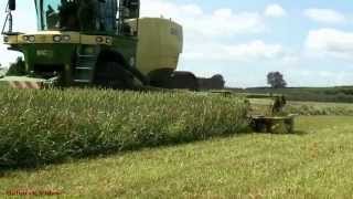 The BigM in Whole Crop - Krone BigM Tackles a Real Test!