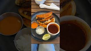 Everything I Ate Nutrition Bloompartner