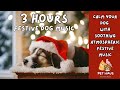 3 HOURS Relaxing Festive Dog Music Relax Your Dog with Atmospheric Festive Warm Music for Calming