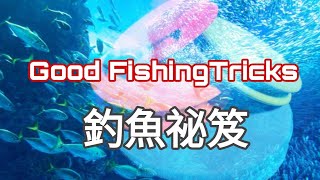 釣魚這招太神了，綁魚鈎釣大魚-收線圈跟太空豆巧妙運用-非學不可祕訣Fishing hook