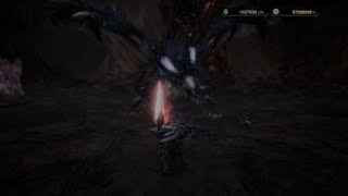 Monster Hunter World: Iceborne 煌黑龍 長槍Solo 14:40