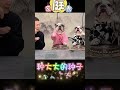 狗狗表演秀 狗狗节奏感十足 和主人配合默契 宠物狗家庭秀