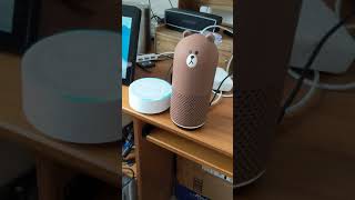 Use Clova Friends as the bluetooth speaker for Yeelight smart speaker.mp4