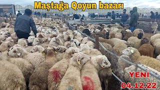 Maştağa Qoyun bazarı 04.12.22 #mastagaqoyunbazari #mastagamalbazari #livestockmarket #qoyun