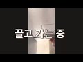 집에서 대용량 유자 싱싱한 유기농 제철 유자 유자청 만들기 고흥 유기농 유자 유자20kg