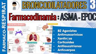 B2 AGONISTAS, AntiMUSCARINICOS, CORTICOIDES, XANTINAS, ANTILEUCOTRIENOS, Farmacodinamia-cinetica |3