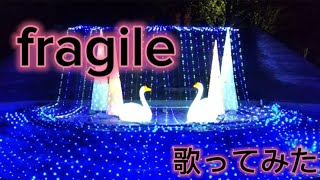 【歌ってみた】fragile 歌ってみた🎤💕