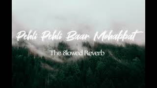 Pehli Pehli Baar Mohabbat || Slowed+Reverb || Sirf Tum Movie Song @alkayagnik3875 #theslowedreverb