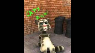 British Talking Tom Cat - Punching Face