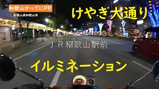 こんなことになってる夜の和歌山【和歌山かってにＰＲ】第271回「けやき大通りのイルミネーション」2022年12月7日　ニュース速報