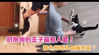 【Cute萌寵】討抱抱的主子最惹人愛了！誰也想要來個擁抱呢？